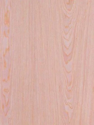 Red Oak Natural Veneer