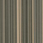 PK-6071 Funky Stripes