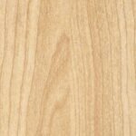 PK-6052 Arabian Acacia