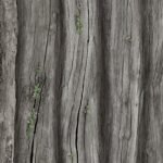 PK-6158 Grey Polar Oak