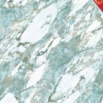 PK-6237 Money Penny Alpha