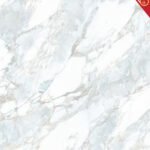 PK-6238 Money Penny Bravo