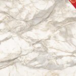 EP 918 TIMELESS GOLD